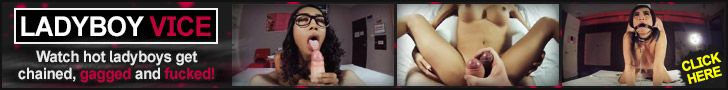 LadyboyVice.com