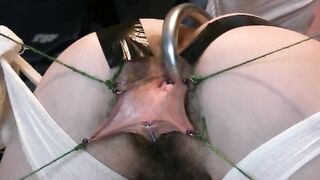 Hairy pussy stretched wide