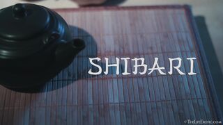 Shibari 2 - Eluisa