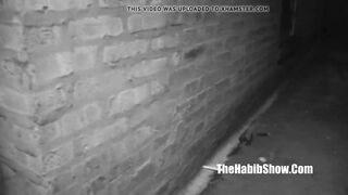 intro layla rossa bottino spesso bottino rosso grasso succoso