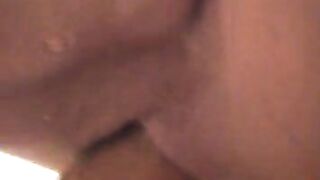 Vovó Libby�s Brasileira 5