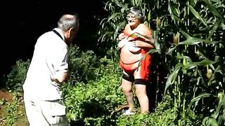 Alcaparras en los campos de maíz, parte 1