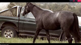 Jungs, geht raus: Szene 3! (Remastered)