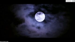 Staxus International College Ep.6