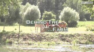 Il telefono di Jerry