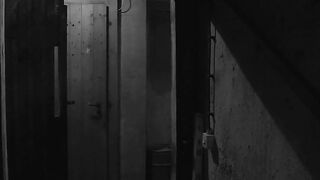 Les écuries de jouets