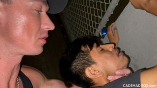 Scopata in pubblico alle 4 del mattino