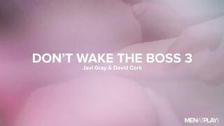 Non svegliare il capo 3