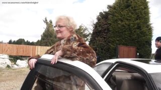 Picking up a hitch hiker