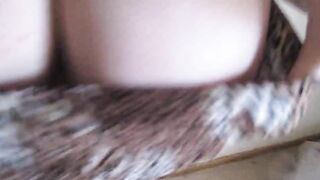 Tölpel mit Leopardenmuster