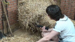 Figa melmosa nel fienile