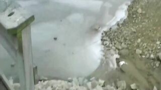 Pennsylvania Park Publc Blow Job