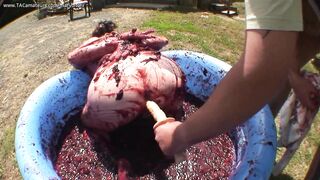 Bound & Fucked In Plum Jam Pt2