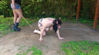 Addestramento di sgualdrina di maiale