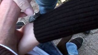 Blowie au bord de la route