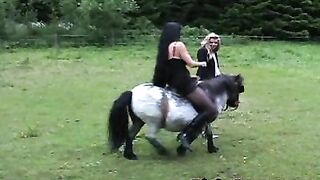 Trussed, Electrified, Clamped, and Burned