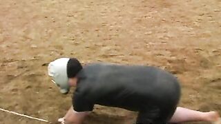 Una giornata da cani al Mare del Nord