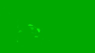 I will jerk your cock quick and hard JOI