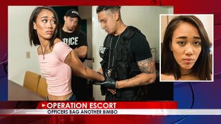 Operation Escort - Aria Skye