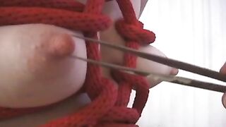 Ultimative Nippelquälerei 5