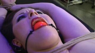 Pussy Qual 10 Caroline