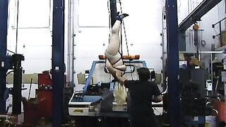 Dicke Blondine kopfüber