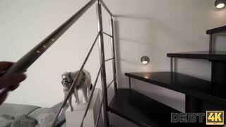 DETTE 4 000 $. Monté comme un cheval