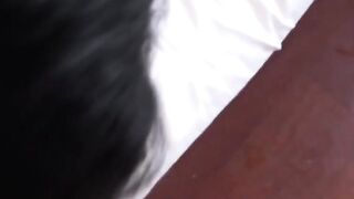 Camera Boy, Daryl, Audrey e Ferdinand