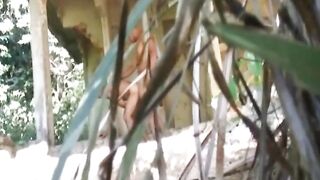 Monster Cock brésilien à trois