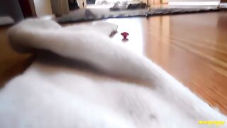 OOH! Um Pedaço de Doce! - Jeff Drizzle e Richard Lennox