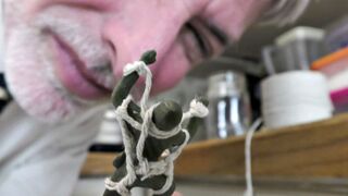 El equipo Seal se encoge - Richard Lennox