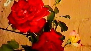 Aaron e Mathew scopano sul divano - Aaron Griffith e Mathew Thomas