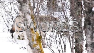 Las Espadas Sc 4 - Originales de NakedSword