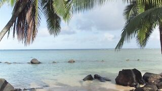 Escápate - Originales de NakedSword