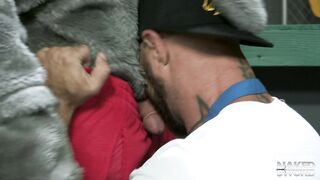 Fuori dal parco - Stallone infuriato