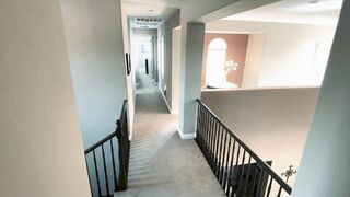 Amigos hermanos - Falcon Studios