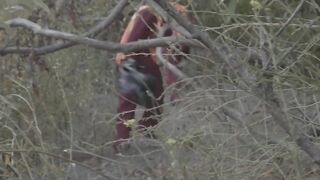 Un cuore assassinato Episodio 2 - NakedSword Originals