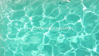 Sistema de compañeros - Falcon Studios