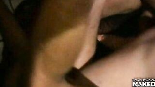 Wild Breed    Treasure Island Media