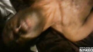 Wild Breed    Treasure Island Media