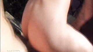 Der Tag der Zucht - Damon Dogg