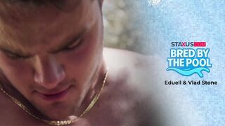 Bred by the pool Sc.1