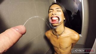 Gatto: vomito e piscio estremi