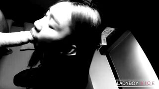 Belle 2: La bella e il ragazzo