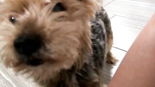 Garota atira em outra garota