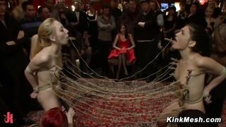 Fête d'anniversaire de la princesse Donna avec James