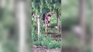 Spiare una prostituta bionda che scopa nel bosco