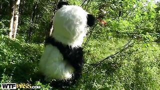 Petit chaperon rouge baisant avec un panda dans le bois