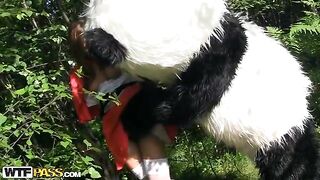 Petit chaperon rouge baisant avec un panda dans le bois