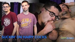 Suckin' on Hairy Cocks